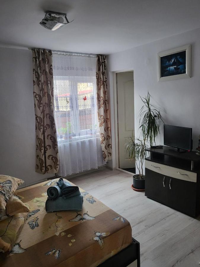 Pensiunea Lacramioara Vatra Dornei Extérieur photo